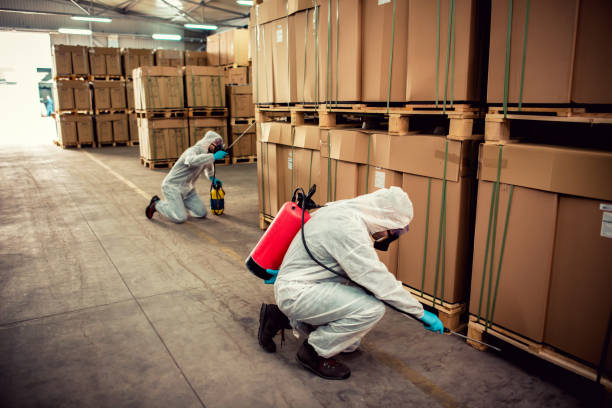 Wasp Removal Services in Remington, IN