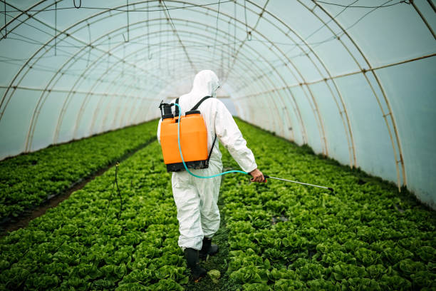 Best Pest Prevention Services  in Remgton, IN