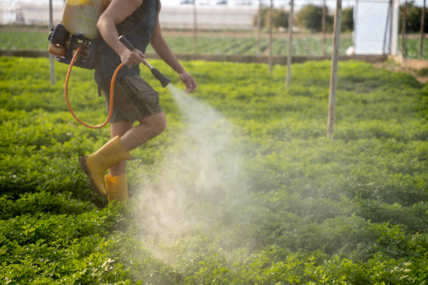 Best Exterminator Services  in Remgton, IN